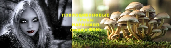 спайс Инта