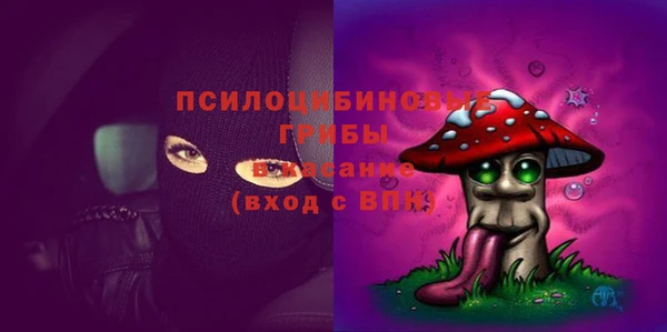 спайс Инта