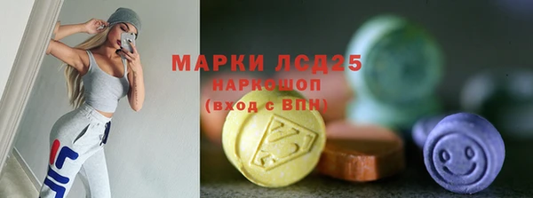 спайс Инта
