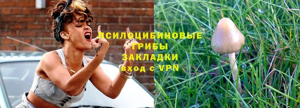 ALPHA-PVP Инсар