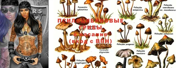спайс Инта