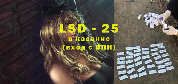 спайс Инта