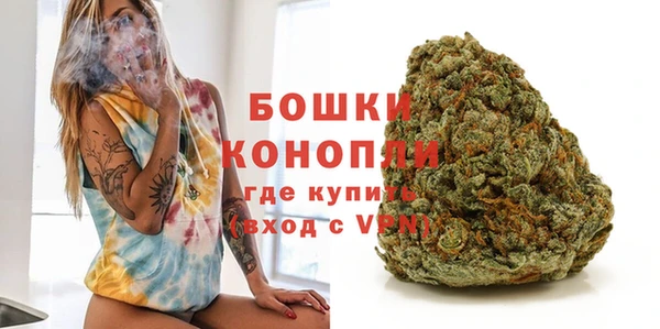 спайс Инта