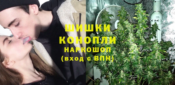 спайс Инта