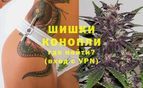 спайс Инта
