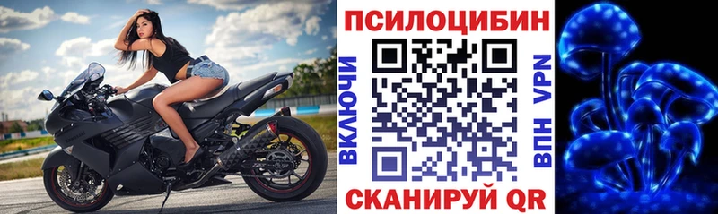 Купить где  Горнозаводск  Галлюциногенные грибы GOLDEN TEACHER 